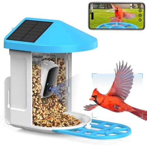 Bird Feeder with Camera Solar Powered, 1080P HD Outdoor Bird Watching Camera Auto Capture Bird Videos and Notify via APP, AI Identify Bird Species, Color Night Vision, Ideal Gift Choice