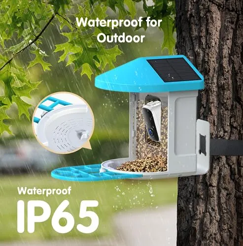 Bird Feeder with Camera Solar Powered, 1080P HD Outdoor Bird Watching Camera Auto Capture Bird Videos and Notify via APP, AI Identify Bird Species, Color Night Vision, Ideal Gift Choice