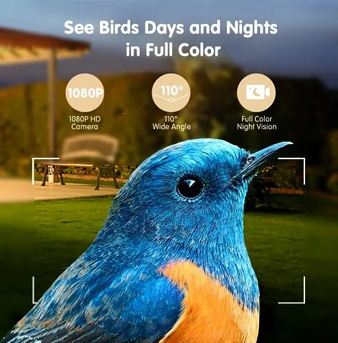 Bird Feeder with Camera Solar Powered, 1080P HD Outdoor Bird Watching Camera Auto Capture Bird Videos and Notify via APP, AI Identify Bird Species, Color Night Vision, Ideal Gift Choice