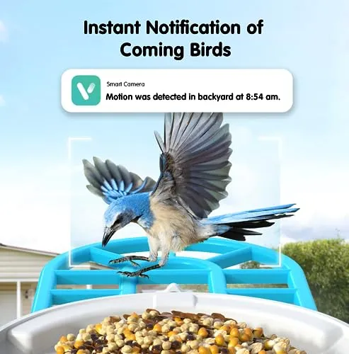 Bird Feeder with Camera Solar Powered, 1080P HD Outdoor Bird Watching Camera Auto Capture Bird Videos and Notify via APP, AI Identify Bird Species, Color Night Vision, Ideal Gift Choice