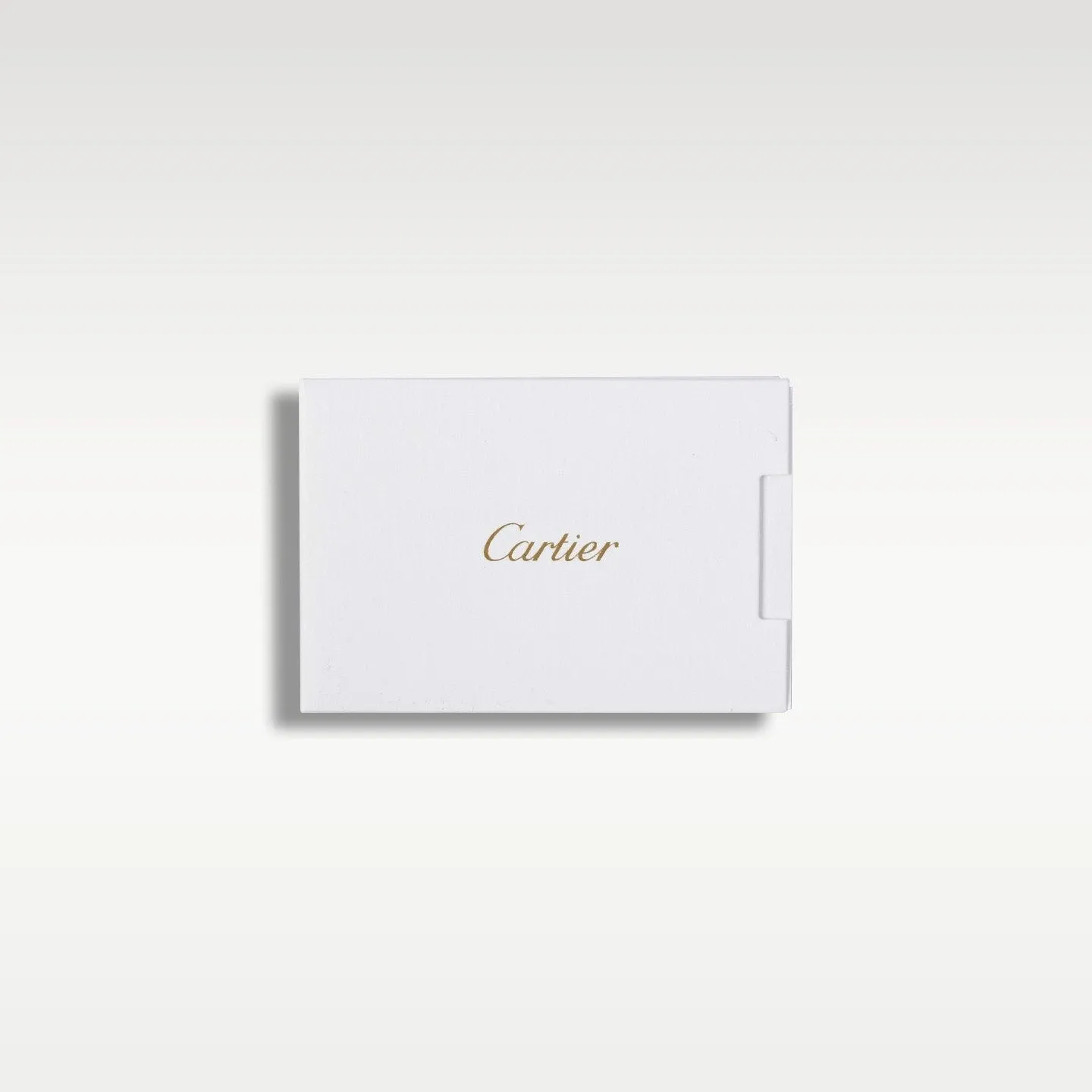 Cartier Santos WSSA0030