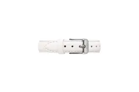 Daniel Wellington Petite 12 Bondi Silver Watch Band