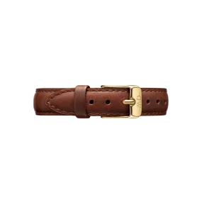 Daniel Wellington Petite 12 St Mawes Gold Watch Band