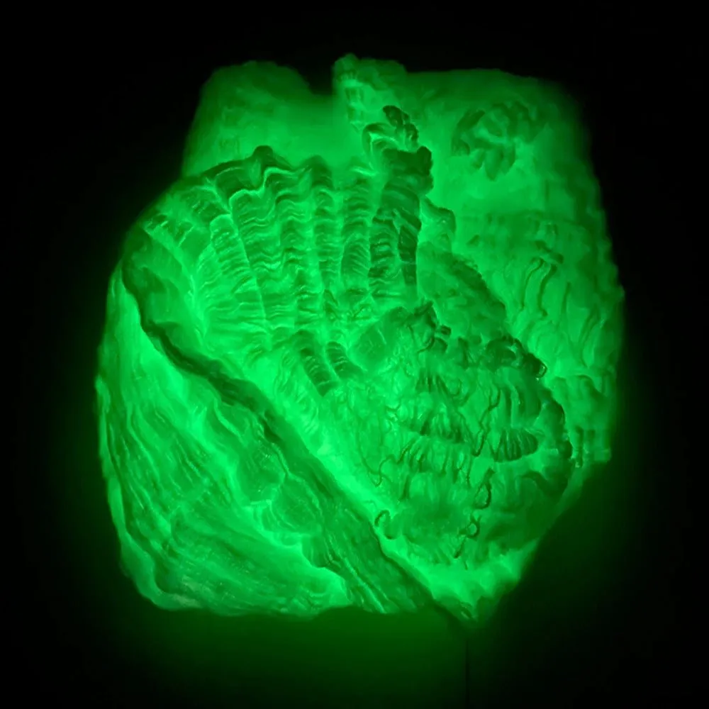 Luminous Spider Web - Glow-in-the-Dark Décor