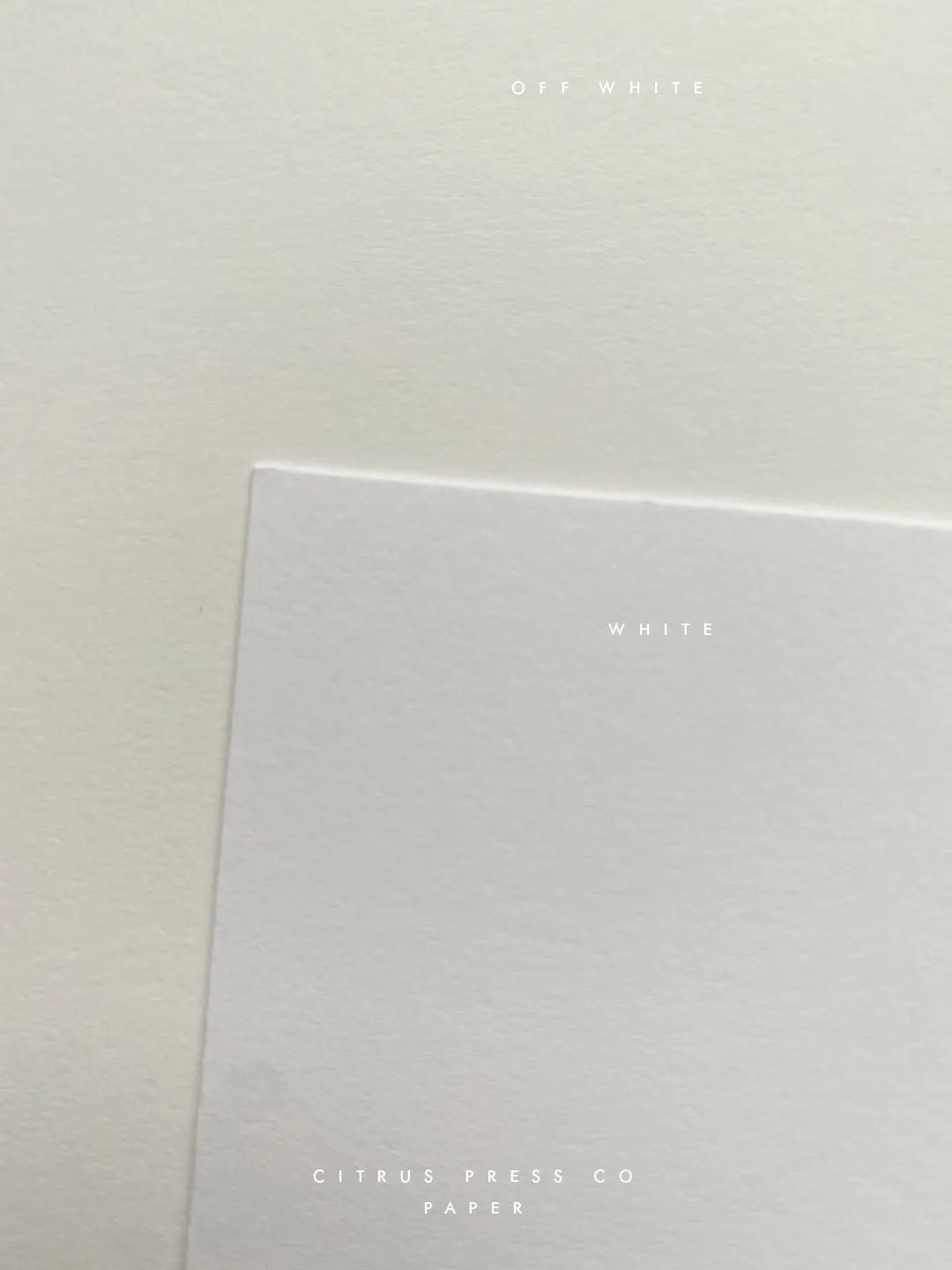 Minimalist Wedding Invitation | Layla
