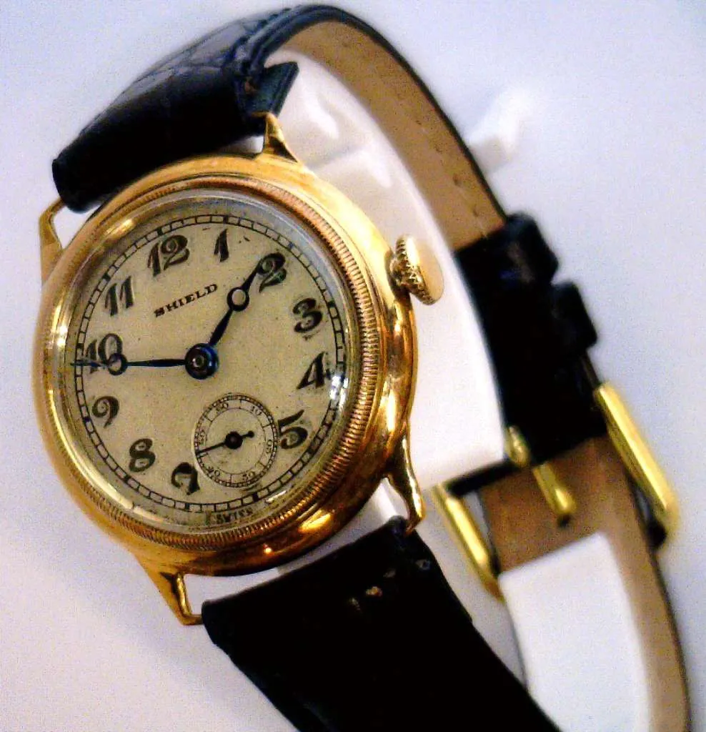 Unisex Shield Precision watch